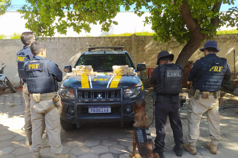 PRF apreende droga avaliada em mais de R$ 3 milhões de reais na BR 135