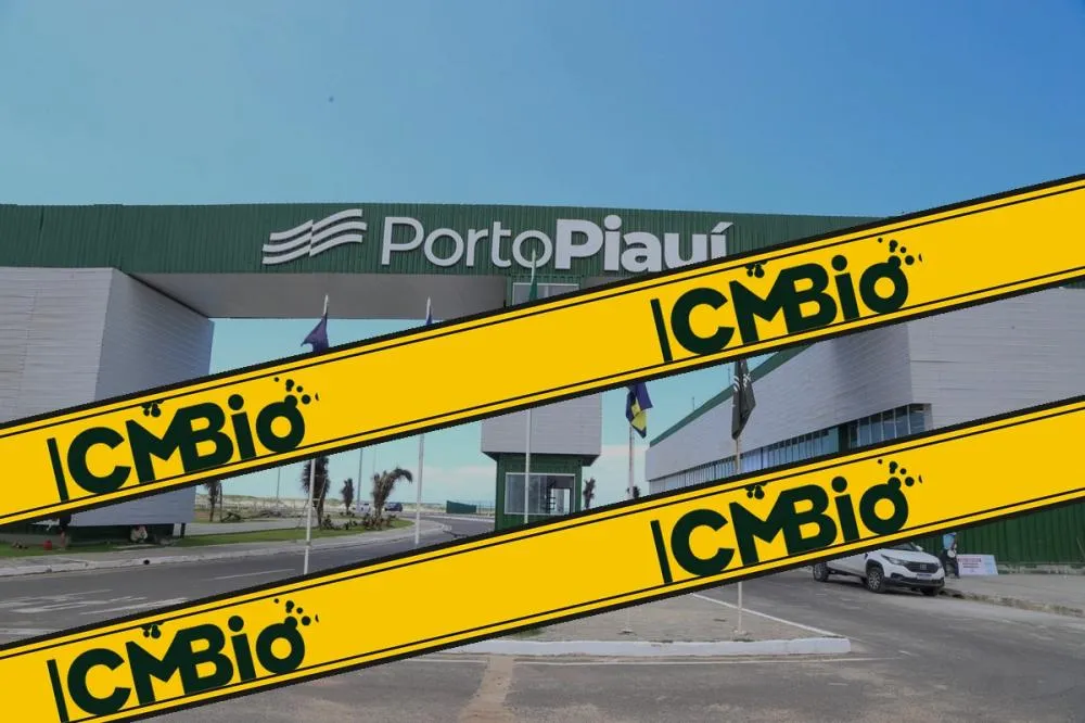 Imagem: Reprodução